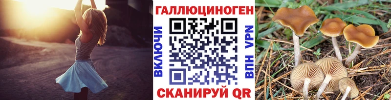 Псилоцибиновые грибы мицелий  KRAKEN   Юрьев-Польский 